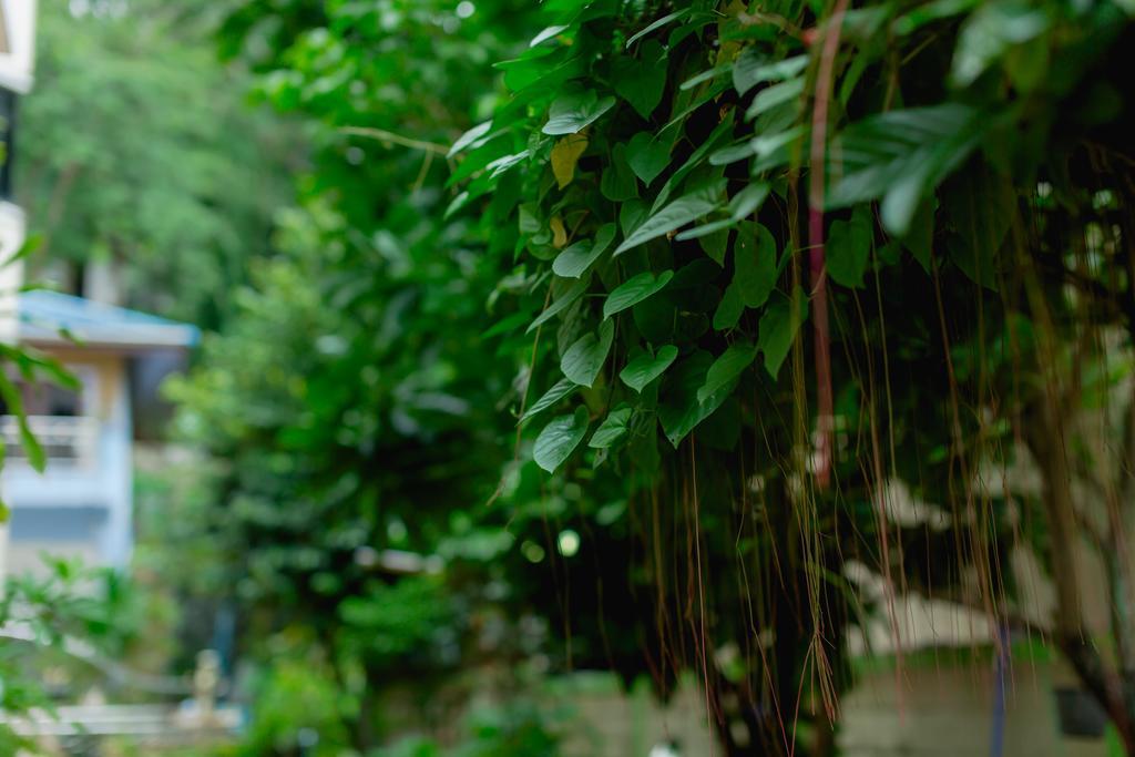 Rk Guesthouse Patong Екстериор снимка
